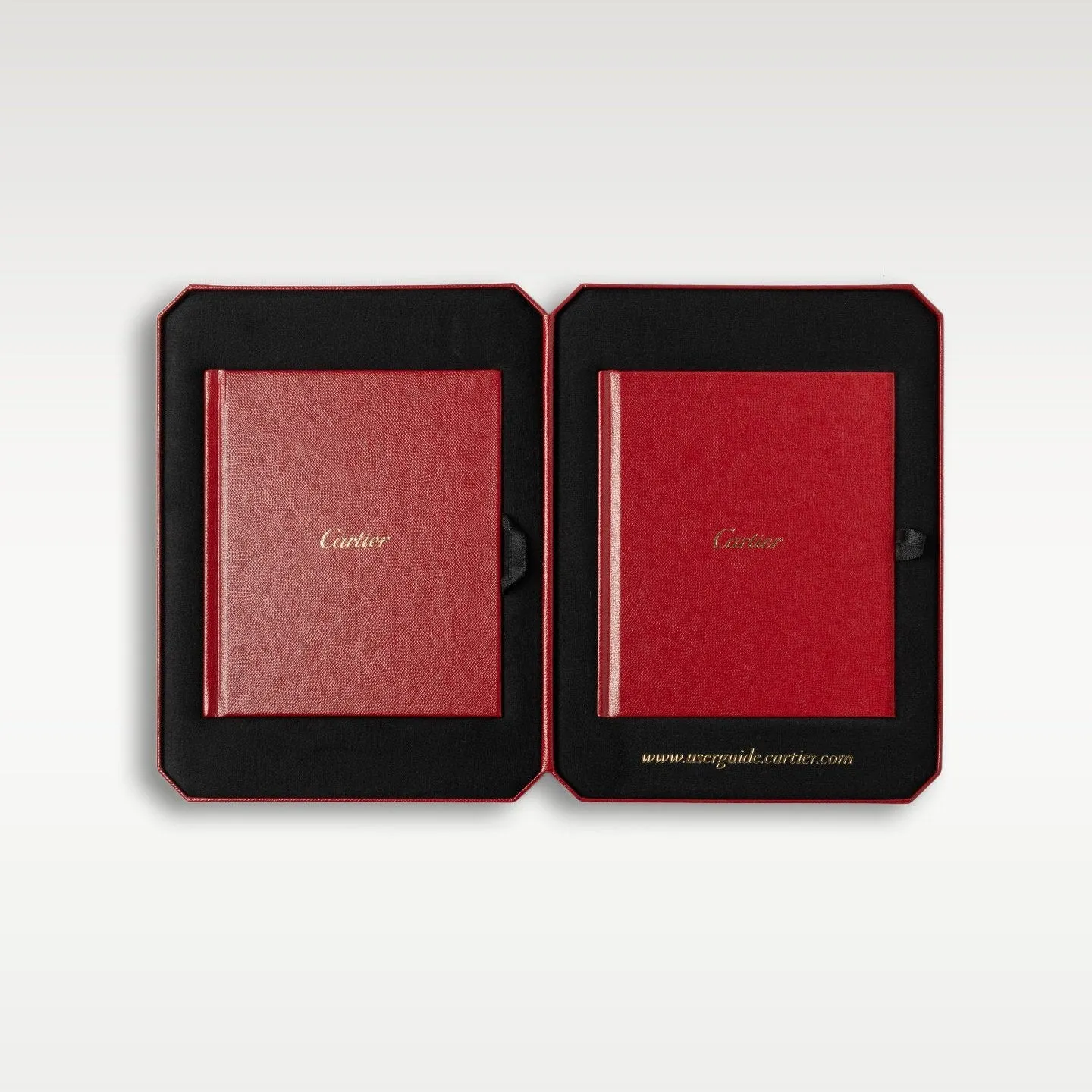 Cartier Santos-Dumont WHSA0032