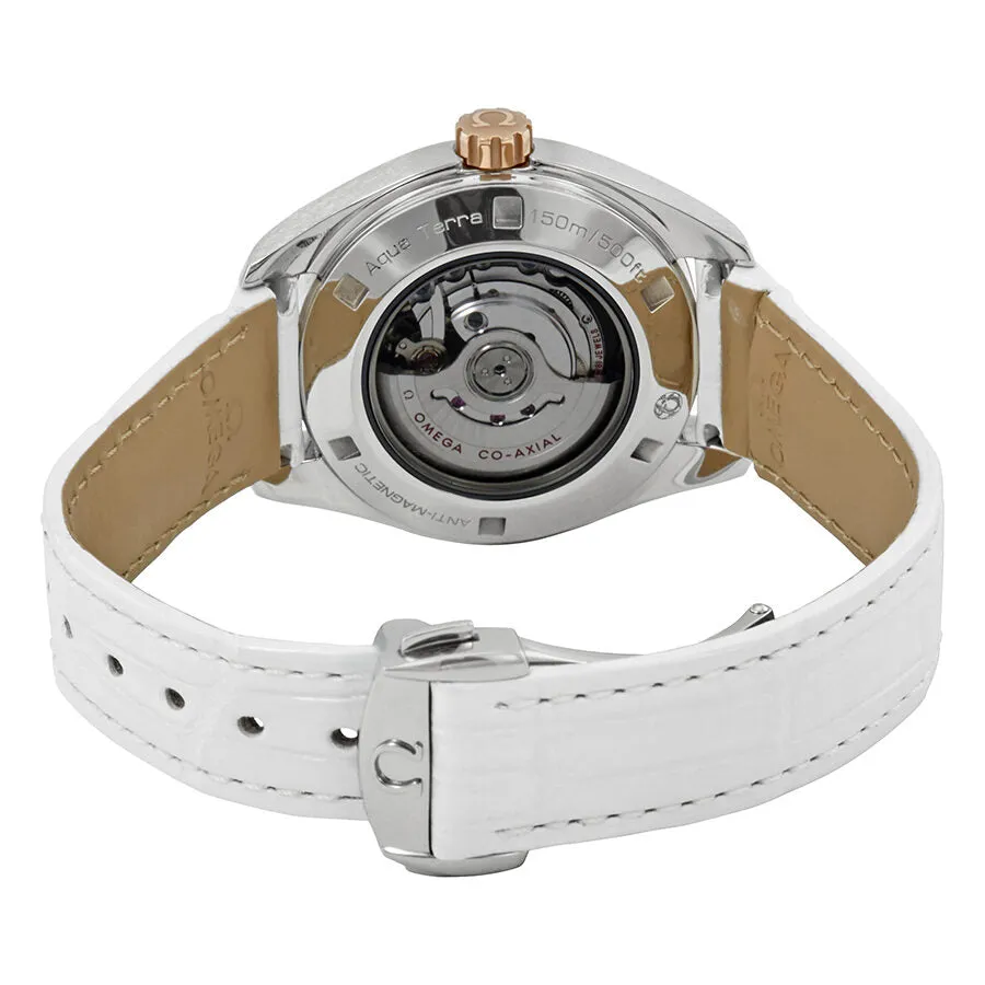 Omega Seamaster Aqua Terra Diamond Ladies Watch 231.28.34.20.55.003