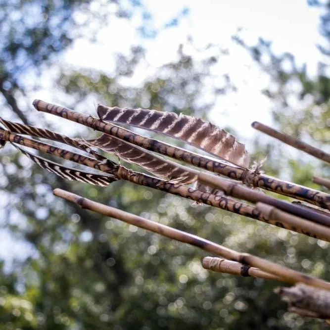 Primitive Survival Course - Gray Bearded Green Beret Survival School