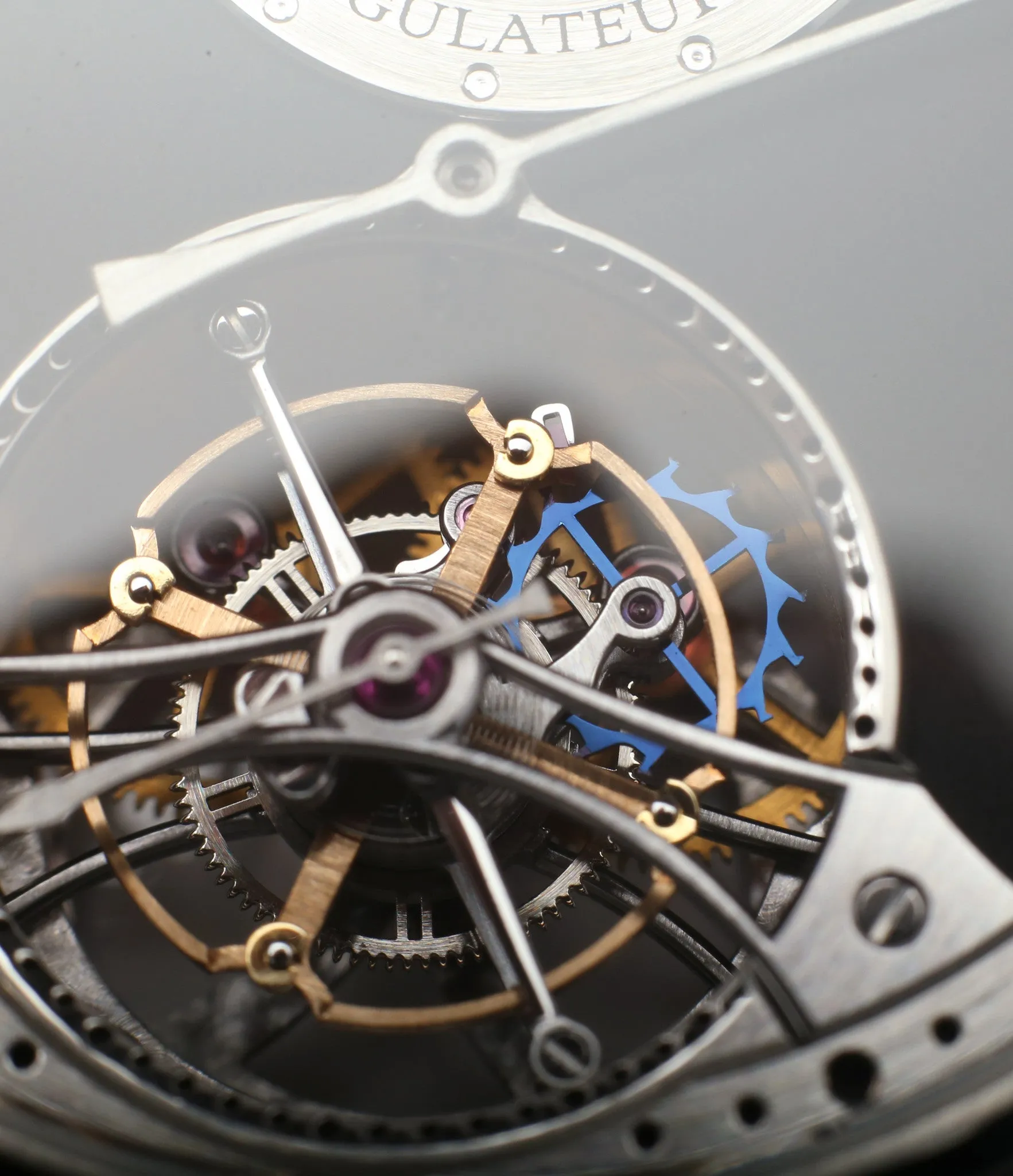 Tourbillon Régulateur | Steel