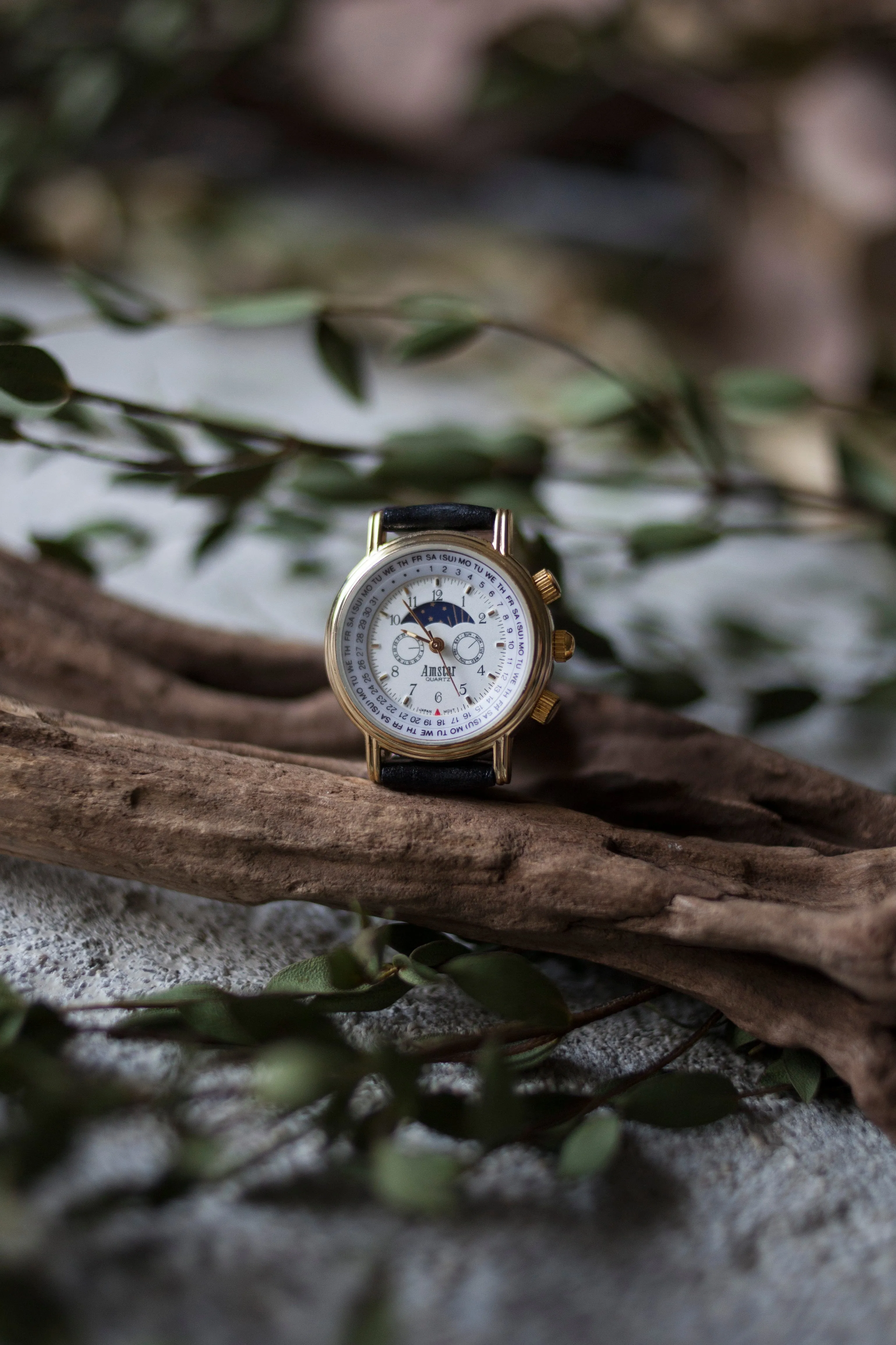 True Vintage: Moondance Mini