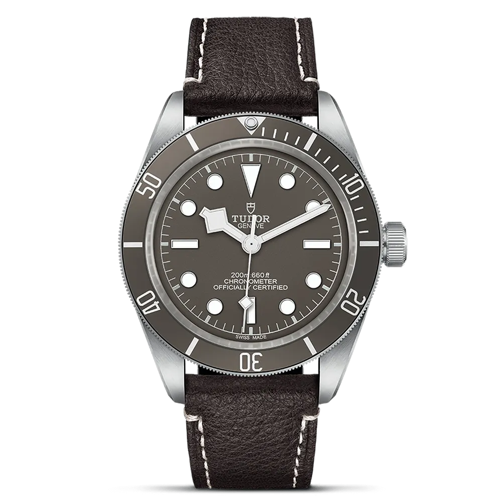 TUDOR Black Bay 58 925 M79010SG-0001