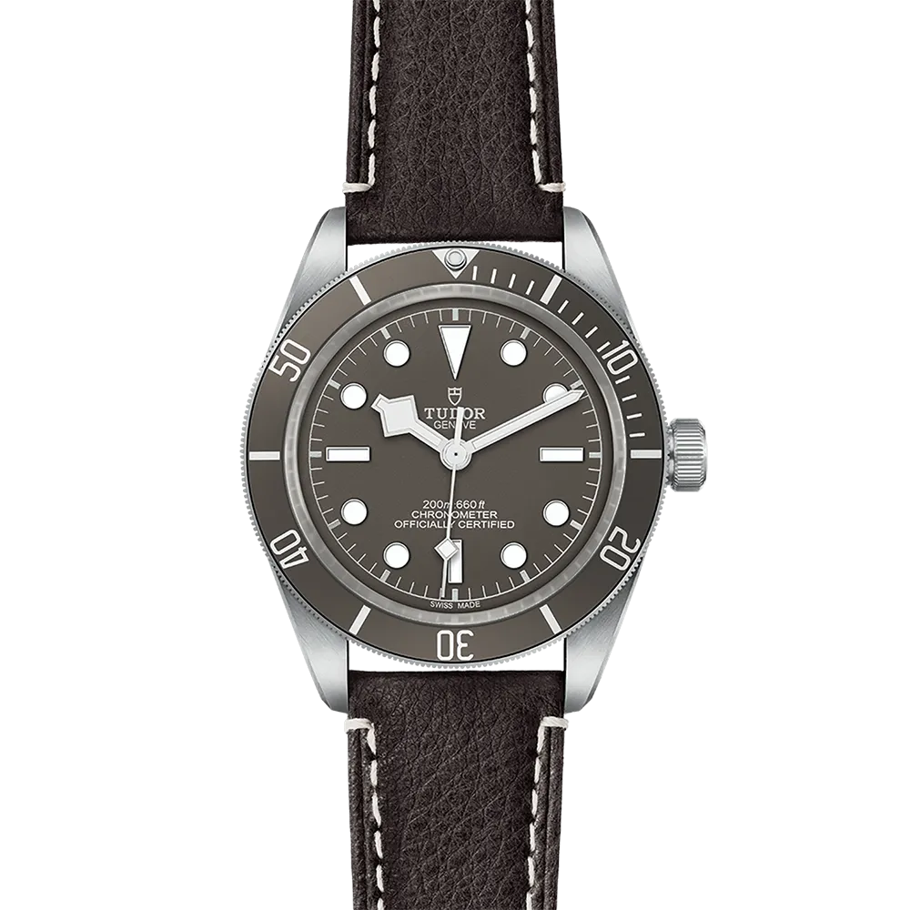 TUDOR Black Bay 58 925 M79010SG-0001